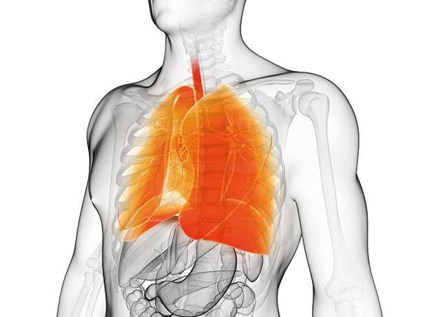 Enterprise Reports Positive Phase 2 Data for Inhaled ENaC Blocker in Cystic Fibrosis