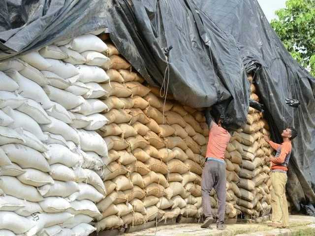Food Dept Caught in Wheat Scandal