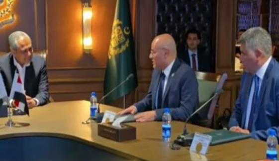 Pakistan to Strengthen Ties with Egypt Through Practical Measures: Mohsin Nawaz
