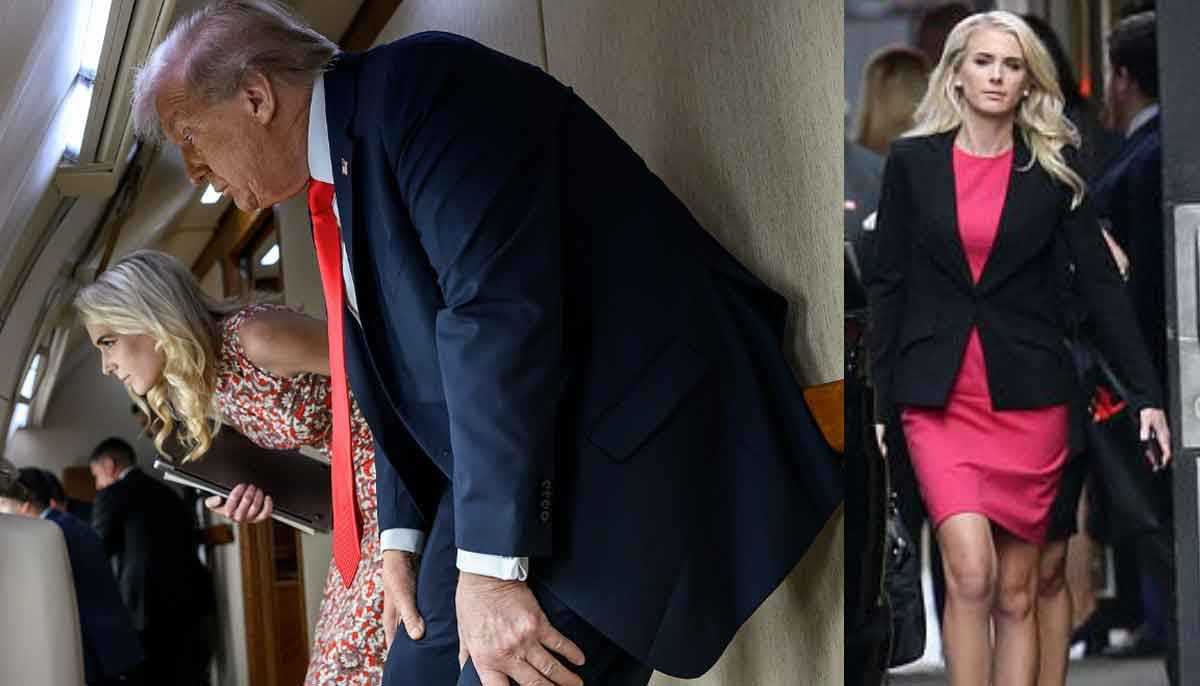 Natalie Harp: Meet the Blonde Executive Assistant by Trump