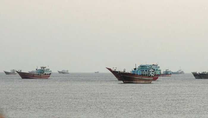 Iran Announces New Body to Manage Strait of Hormuz: SC