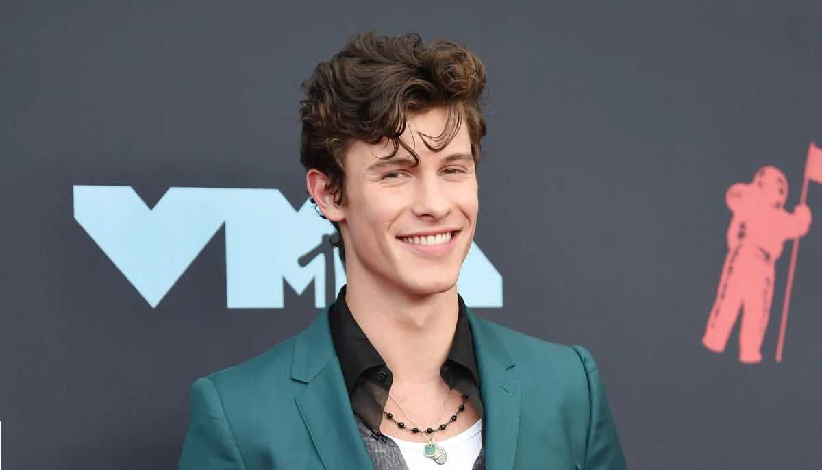 Shawn Mendes Shares Shocking Response to Fan's Worst Fear