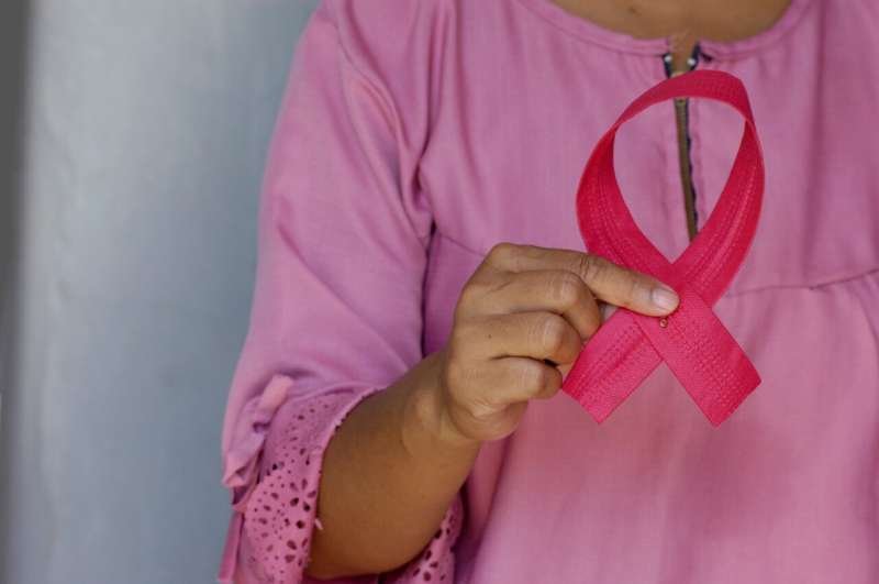 Open-access tool decodes DNA change patterns in breast cancer