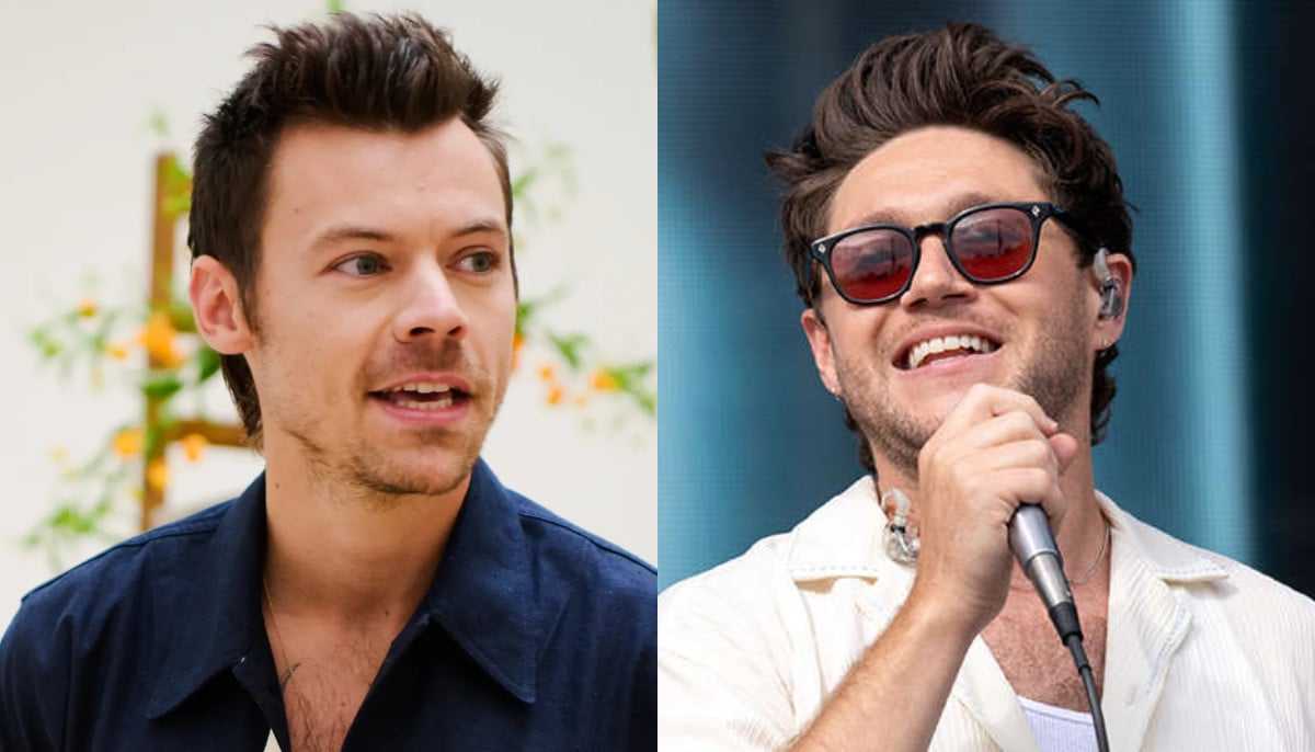 Harry Styles, Niall Horan Create 'Full Circle' Moment for Fans