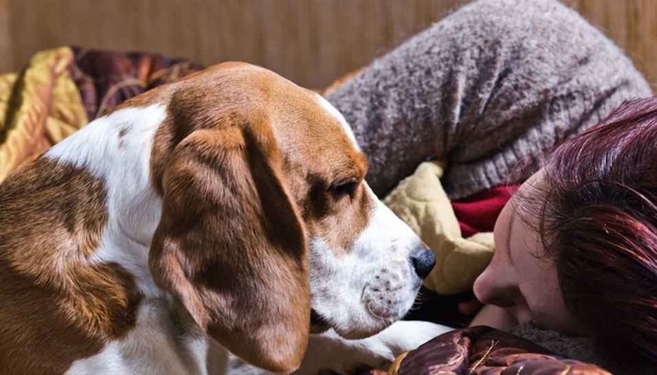 'Never in million years': Dog Owner Looks Back at Near-Loss of Beloved Pet After Eating Corn Cob