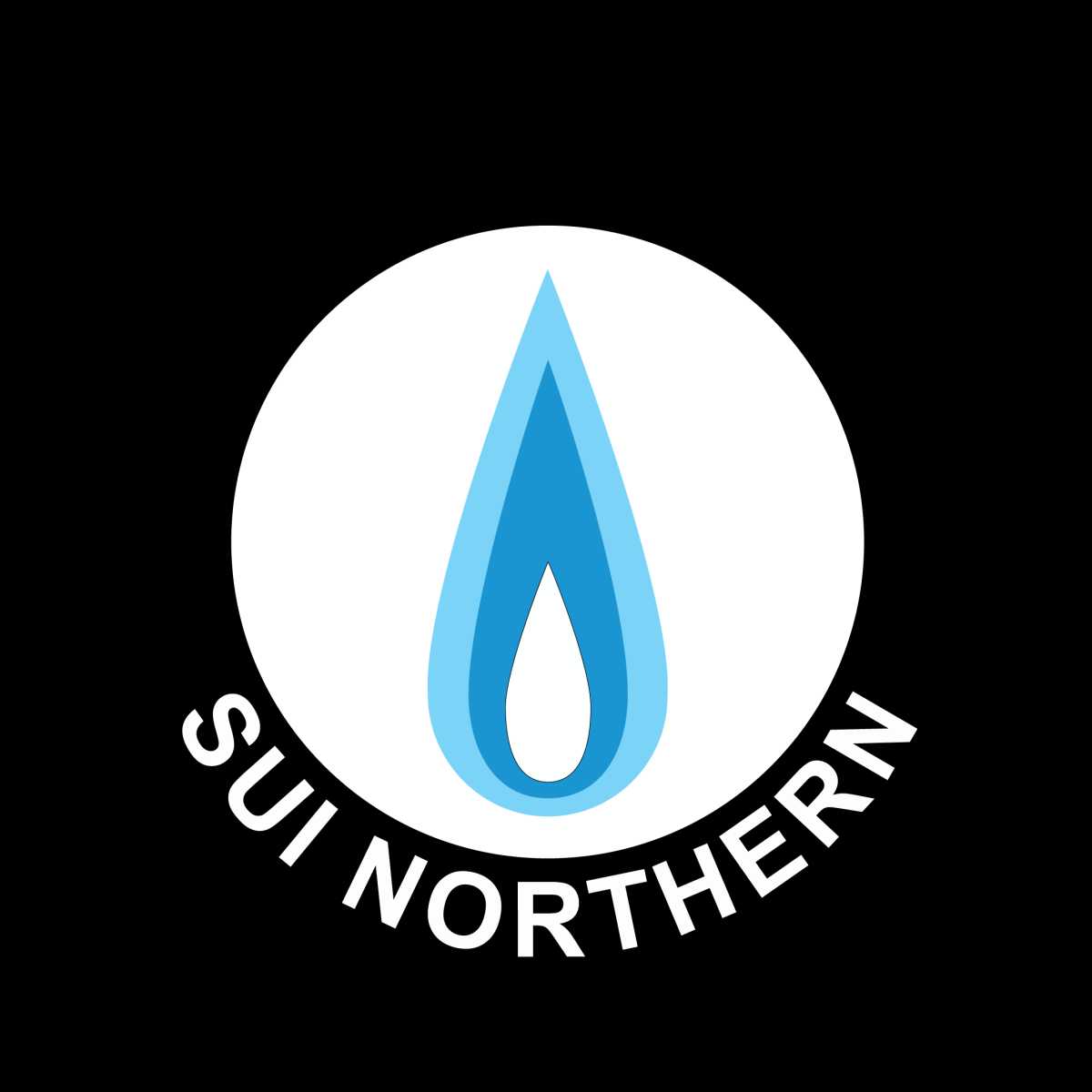 SNGPL Disconnects Five More Meters, Checks 60 in Anti-Theft Drive
