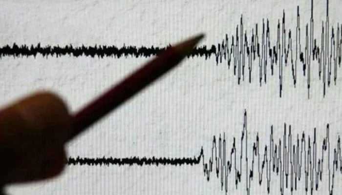 At least one killed as 4.8-magnitude Earthquake Shakes Parts of Punjab