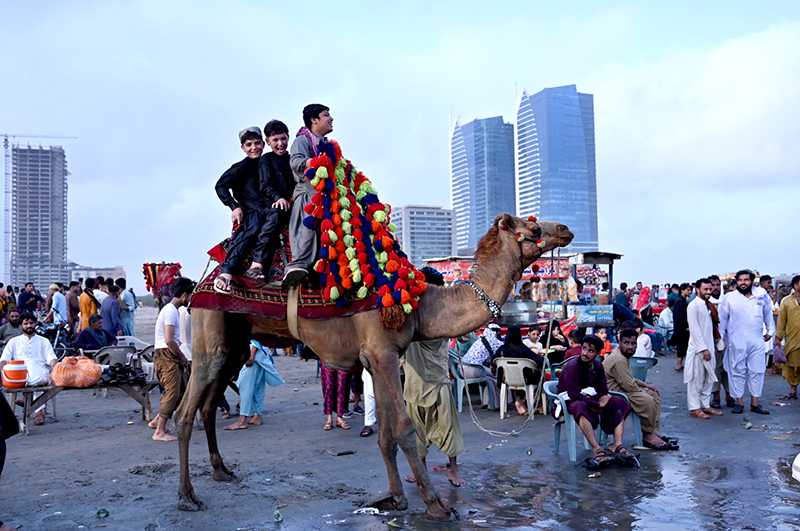 Children Enjoy Camel Rides at Sea View During Eidul Azha Celebrations