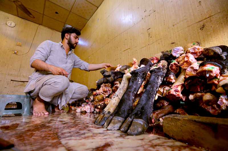 Butcher Prepares Sacrificial Animal Legs as Eid al-Azha Celebrations Continue in Islamabad