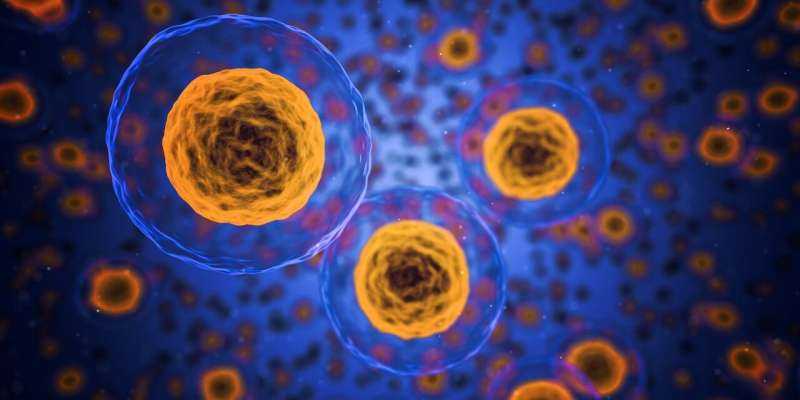 One inhibitor, opposite outcome: How a double-target effect could reshape ferroptosis therapies