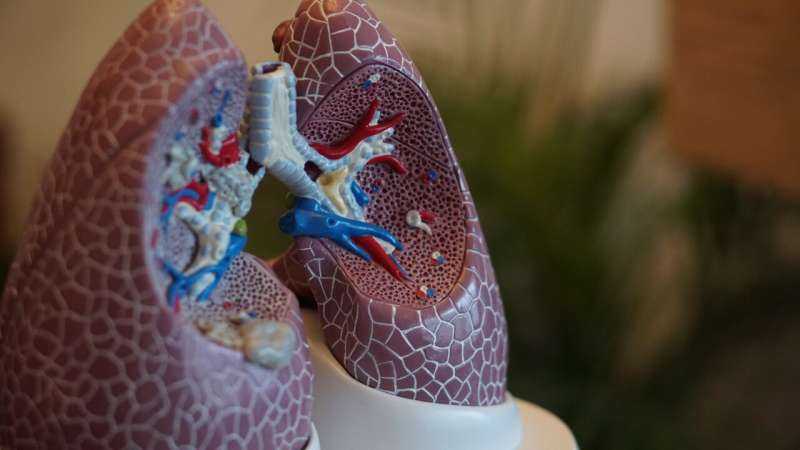 Cryoprobe Enhances Lung Biopsy Accuracy by Nearly 10 Percent Over Forceps
