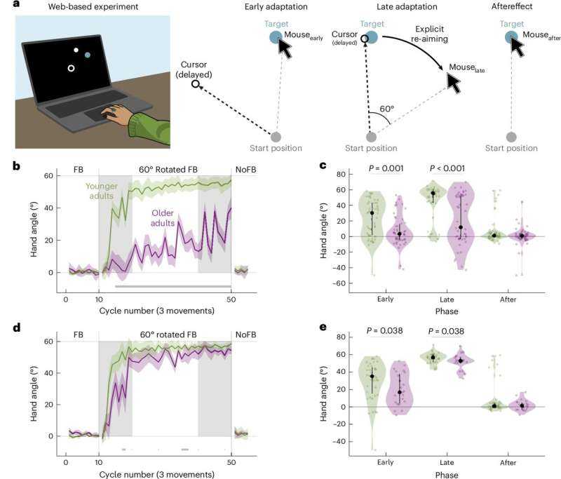 How Aging Reshapes Sensorimotor Learning: Older Adults May Lose Explicit Strategy but Gain Implicit Adaptation