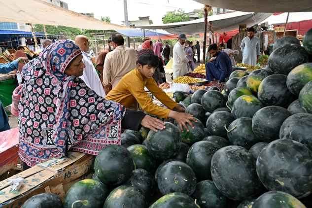 Woman Chooses Watermelon at Vibrant Roadside Stall