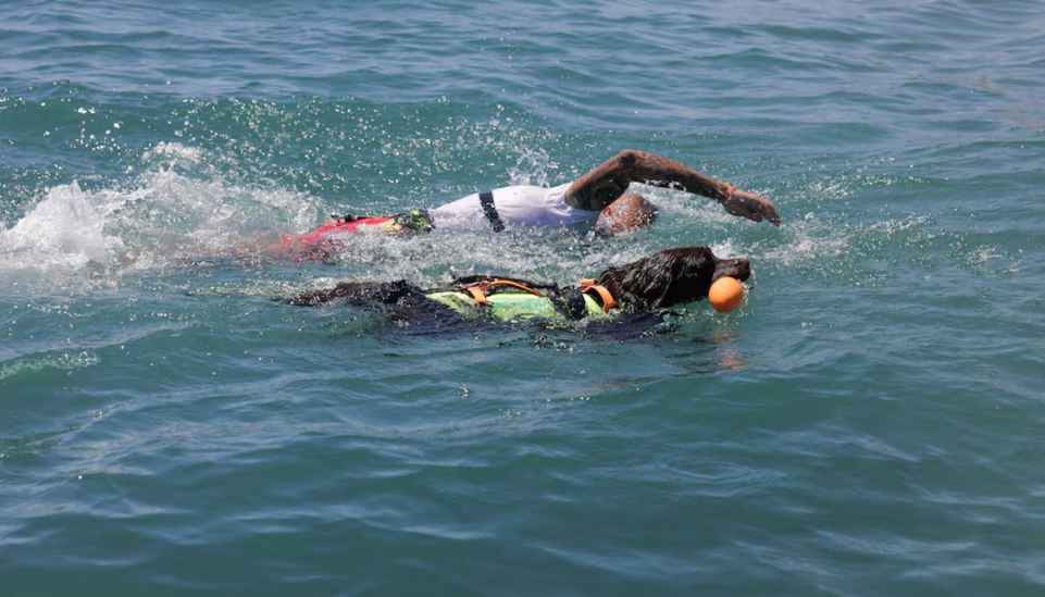 Dramatic Rescue as Hero Dog Battles Rough Waves for 30 Minutes at Sea