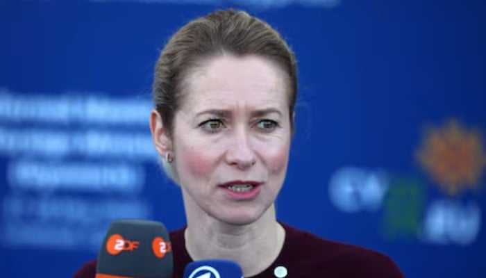 EU Top Diplomat Praises Pakistan's Mediation Role Amid US-Iran Tensions