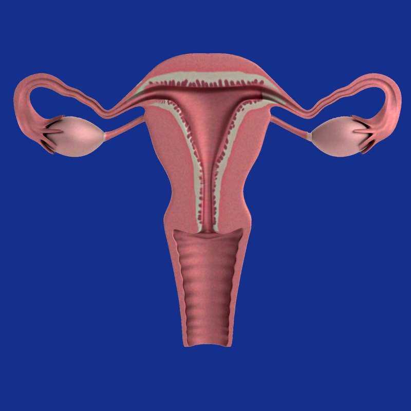 Renaming PCOS to PMOS—a 10-Year Process of Listening to Patients and Health Professionals