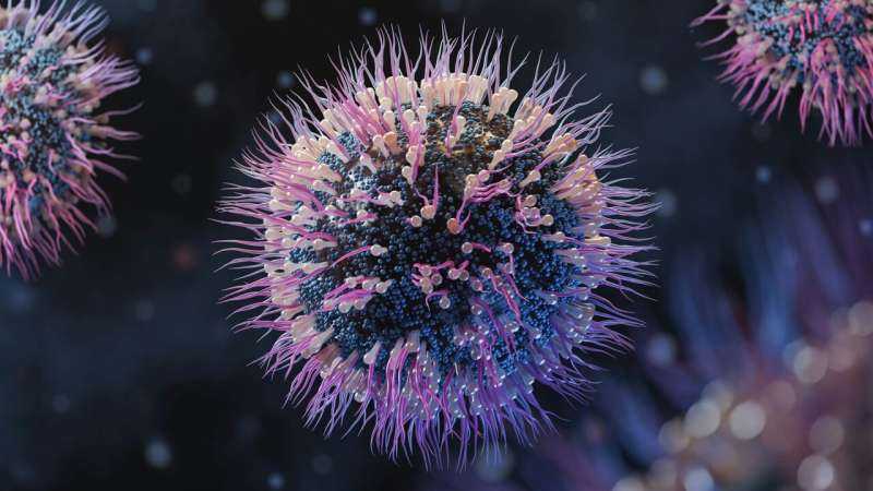 How Cells Clear Immune Signals Could Reshape Drug Design and Cancer Spread Research