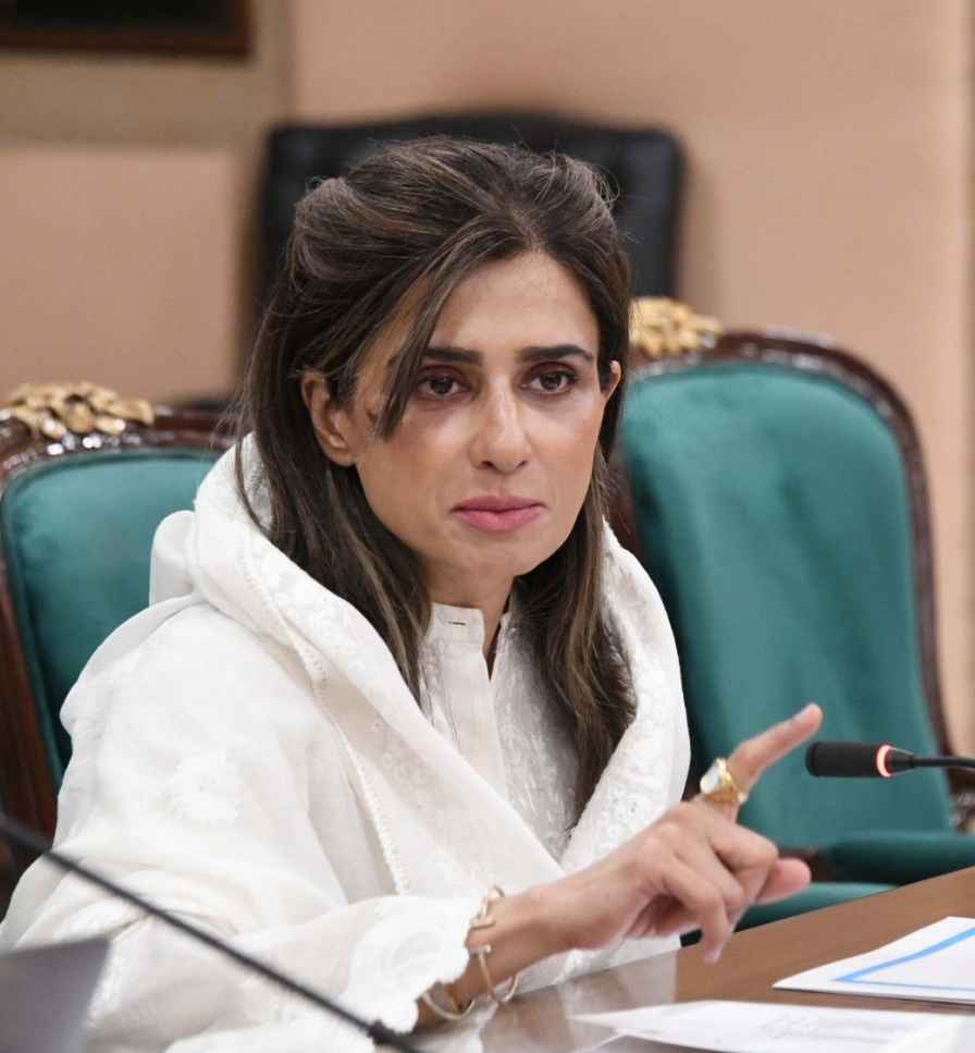 NA Committee Reviews Migration, Diplomatic Affairs