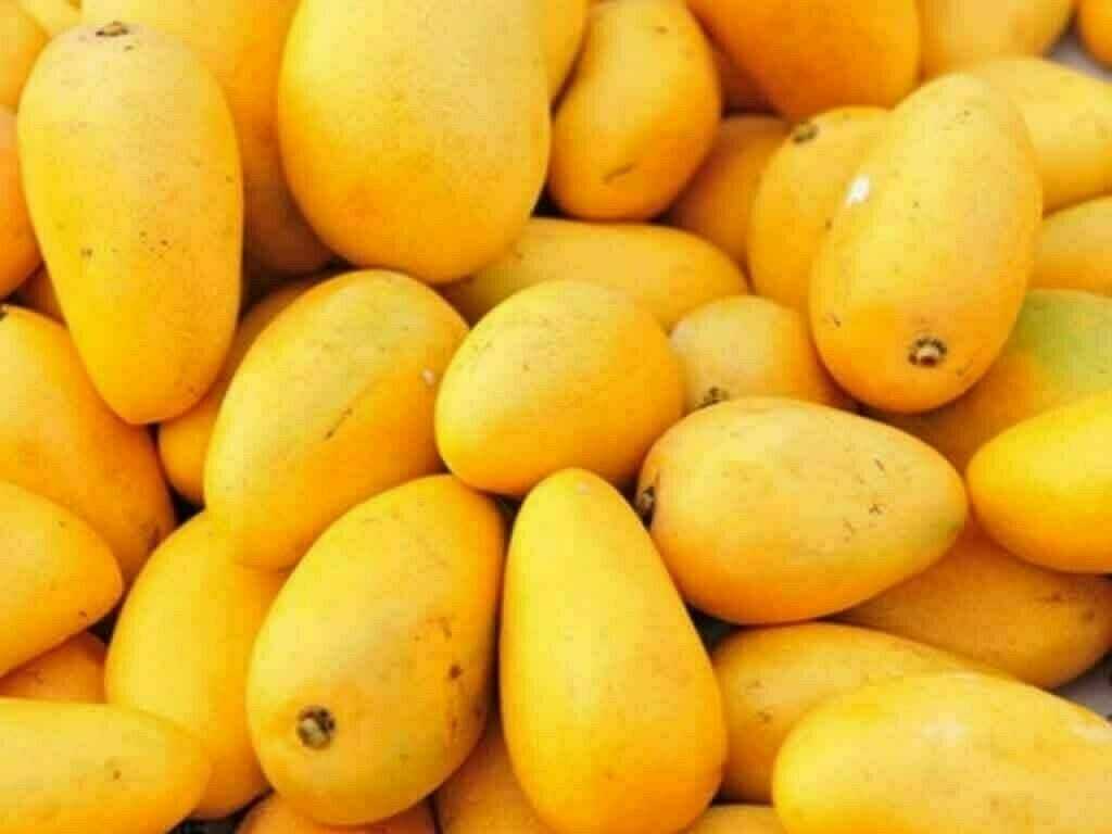 Pakistan's Mango Export Target Slashed by 30,000 Tons Amid Middle East Crisis