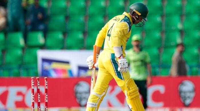 Ball Gets Stuck in Stumps as Shaheen Khan Continues to Dismiss Careys in ODI