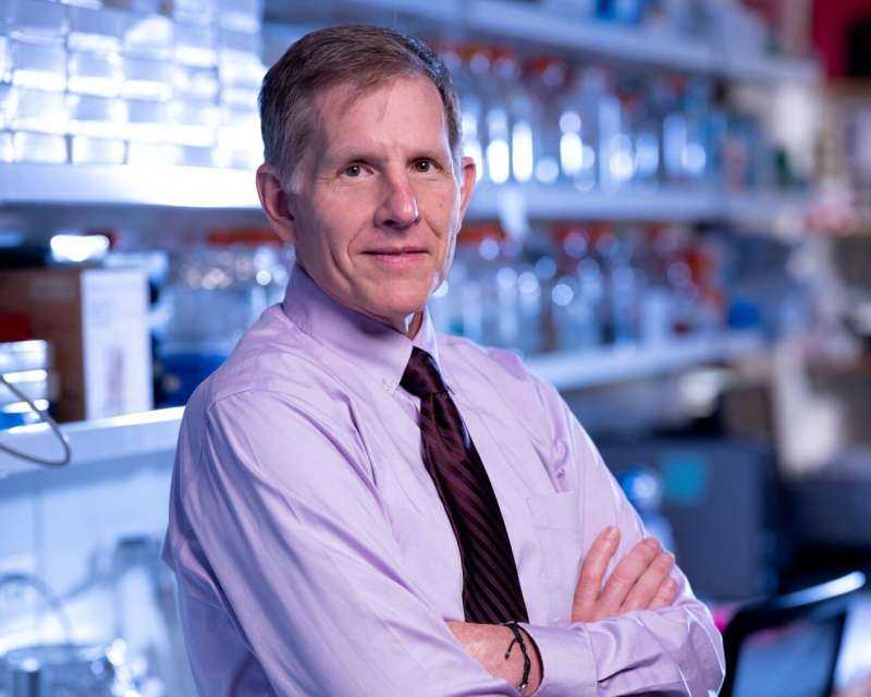 First‑in‑human study tests gamitrinib designed to disrupt cancer cells' energy systems