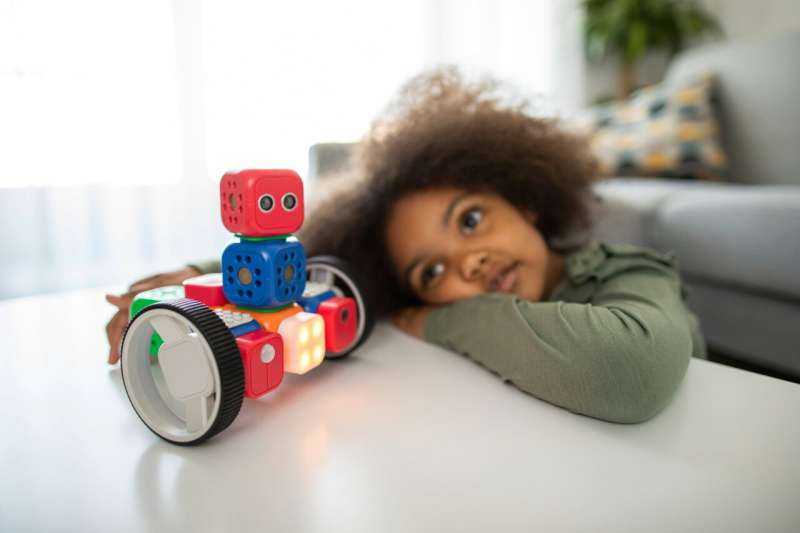 Investigating neurodevelopmental unknowns and privacy risks of AI toys