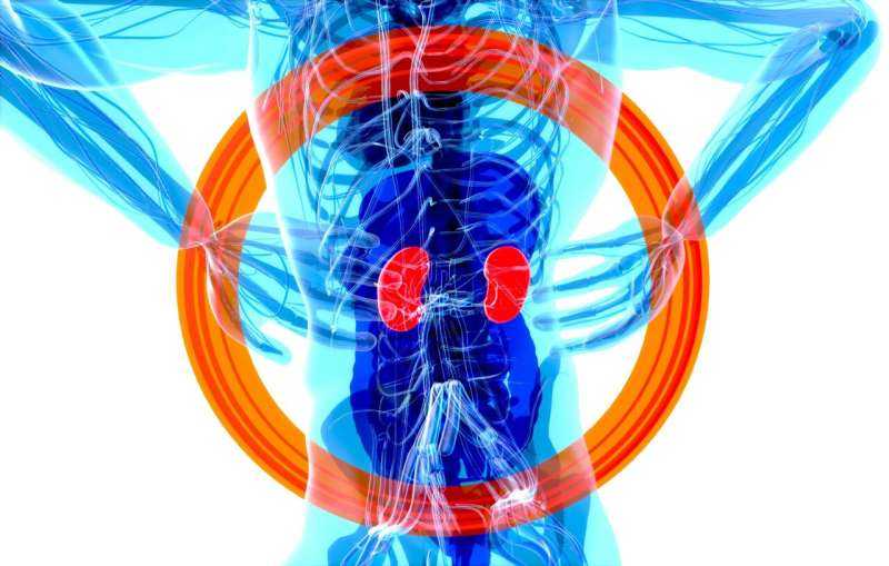 Up to half of life-threatening kidney disease cases remain undiagnosed, experts reveal
