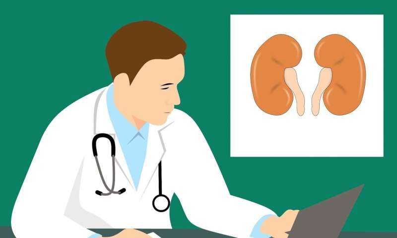 Women with Kidney Disease Suffer from Underdiagnosis, Untested Treatments Due to Male-Dominated Research