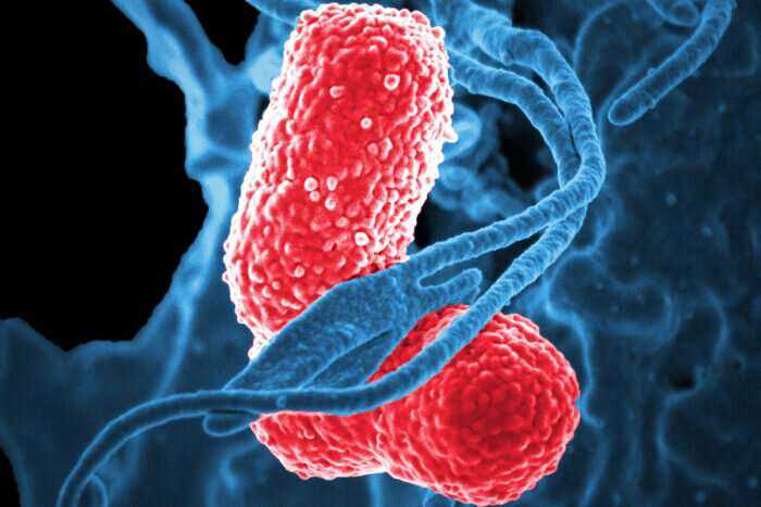 New Antibiotic Kills Drug-Resistant Bacteria by Targeting Unknown Vulnerability