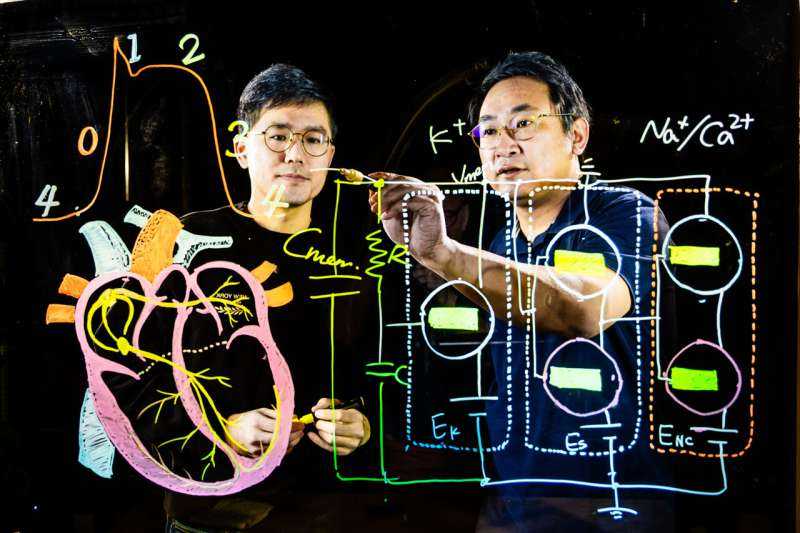 Conductive Plastic Mimics Heart Cell Ion Signaling for First Time
