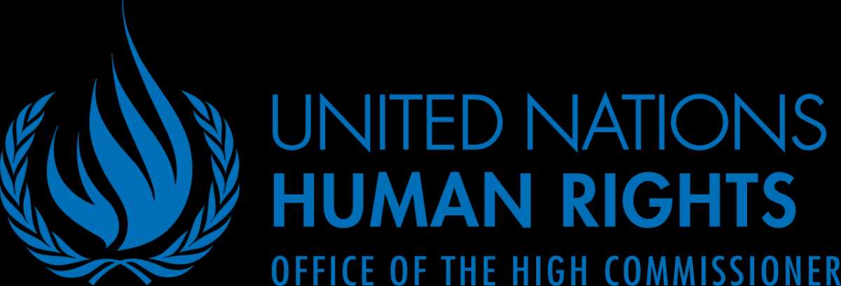 Gaza's Public Servants Systematically Targeted in Israeli Attacks, UN Reports
