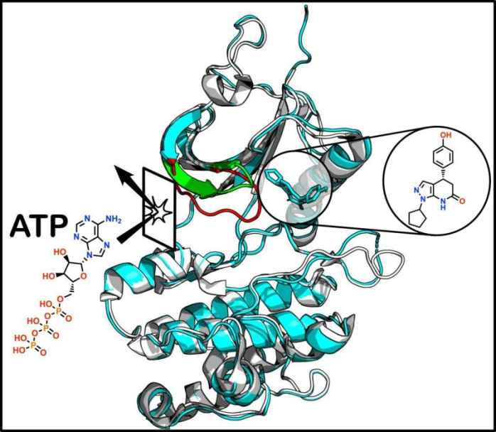 AI Misses Cancer Drug Target, Revealing Importance of Lab Validation