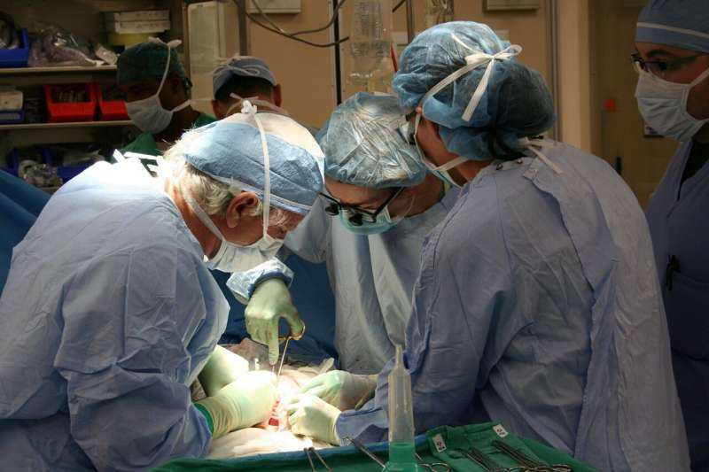 New CAR T Treatment Facilitates Life-Saving Kidney Transplants for Previously Incompatible Patients
