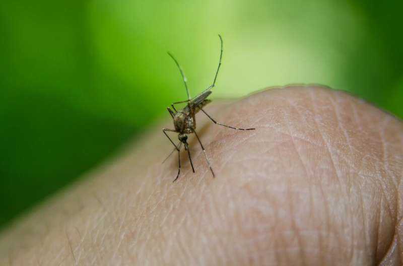 Dengue Vaccine Shows Favorable Safety Profile Among Travelers from Non-Endemic Regions