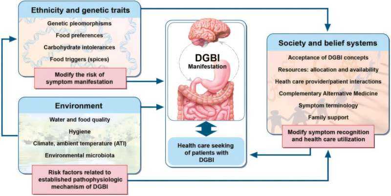 How Culture, Stress, and Social Life May Shape Gut Health