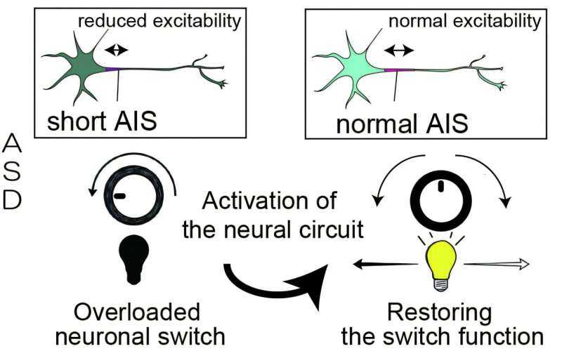 Activating Specific Neural Circuits Rescues Autism-like Behaviors in Mouse Model