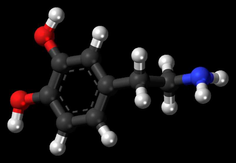 Dopamine Menus: Can Small Pleasures Help Us Get Unstuck?