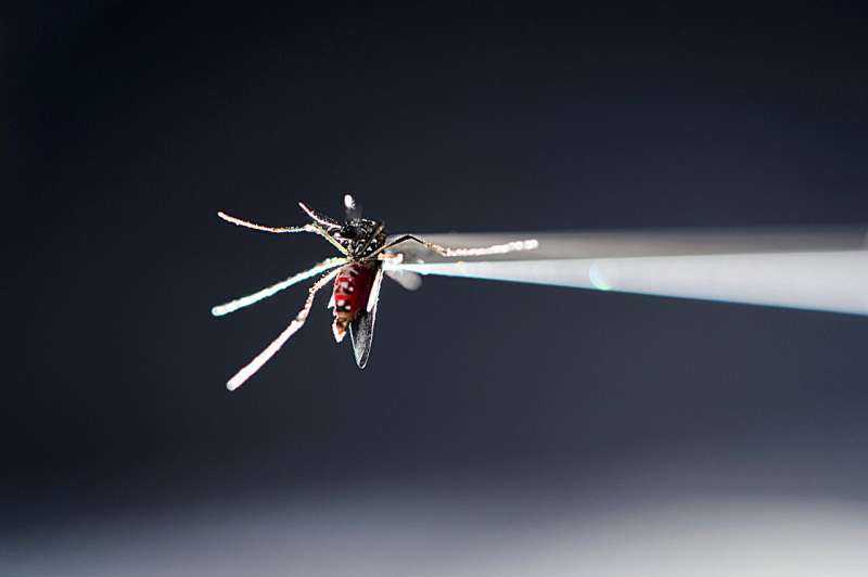 Prenatal Zika exposure may trigger vision, hearing and social changes despite seemingly healthy births