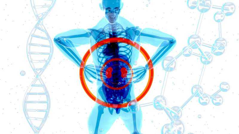Experimental Drug Combination Shows Early Promise Against Treatment-Resistant Advanced Kidney Cancer