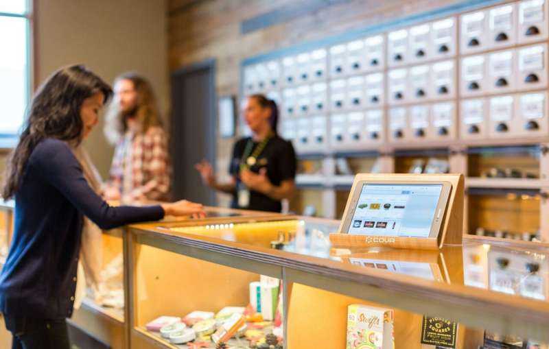Q&A: Expert Discusses Risks of Cannabis Use