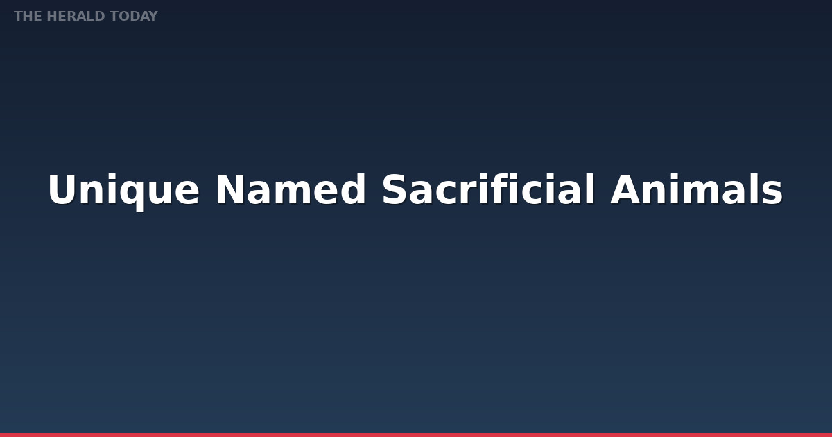 Unique-named Sacrificial Animals Trending on Eid Markets Amid Social Media Buzz